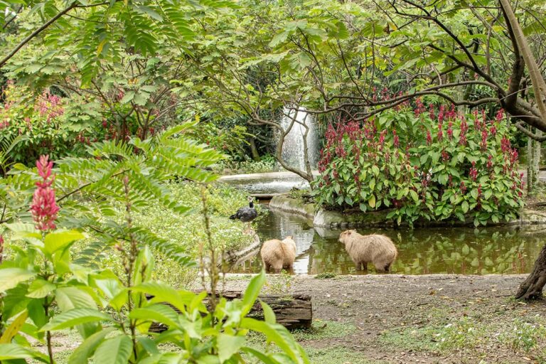 El Parque de la Conservación, con tarifa especial en el Día Internacional de los Museos