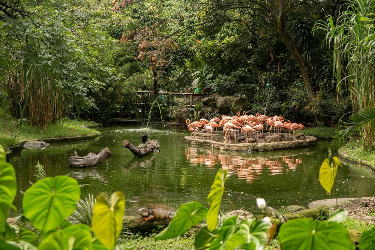 El parque de la Conservación: nuevo nombre, nueva ruta
