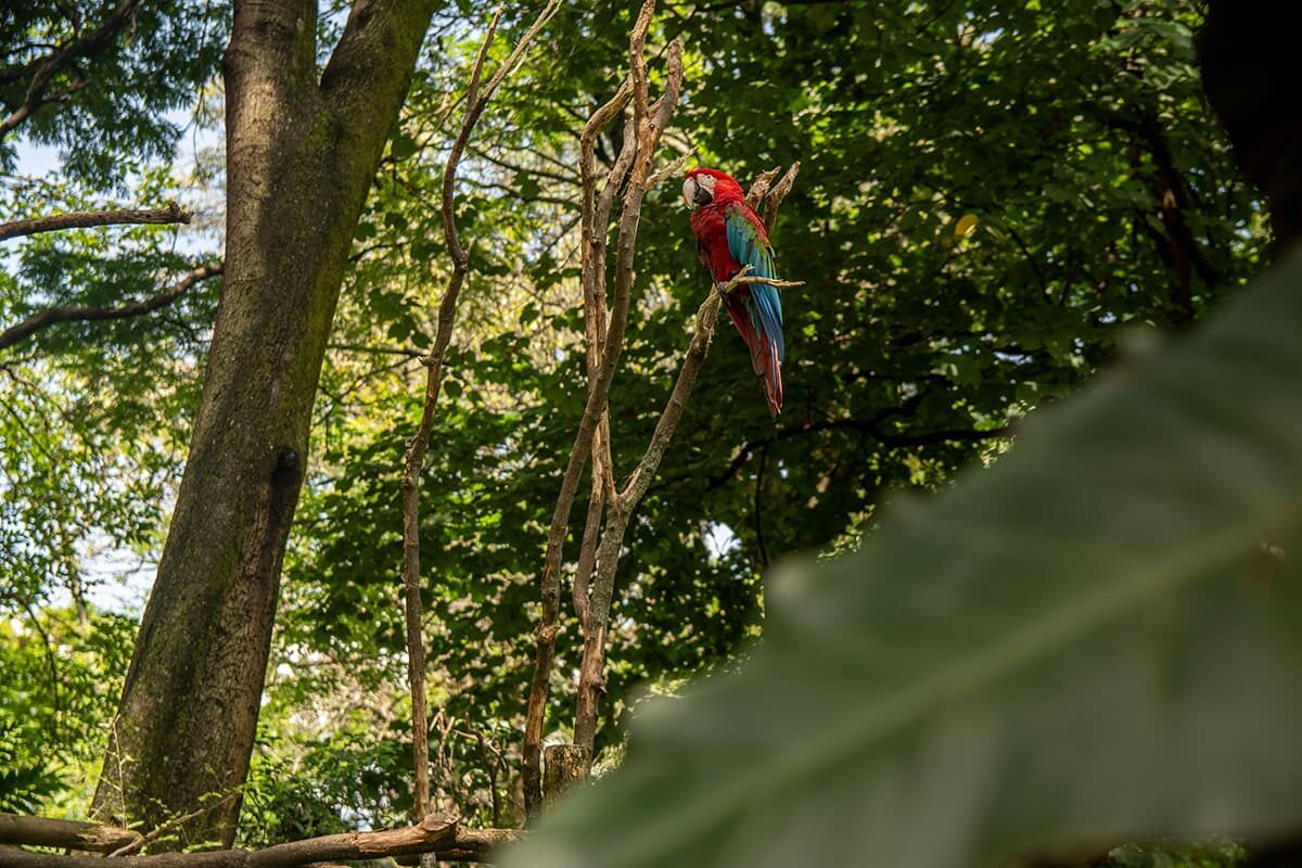 El parque de la Conservación: nuevo nombre, nueva ruta