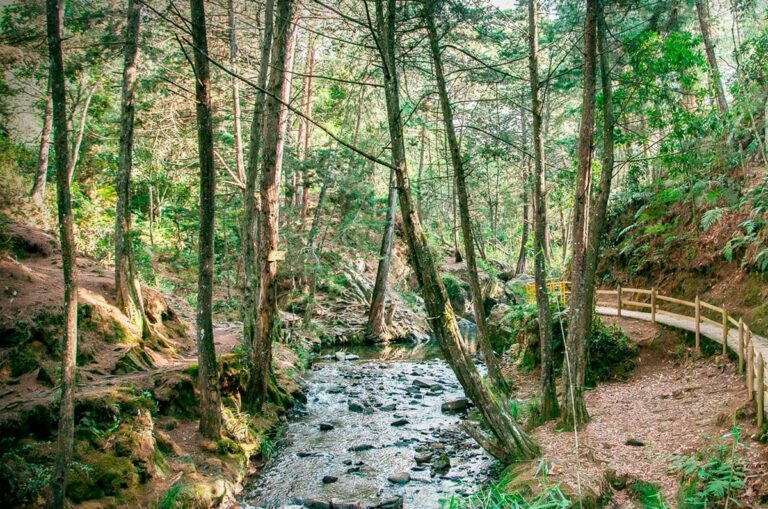 Expedición Mitológica en el Parque Arví
