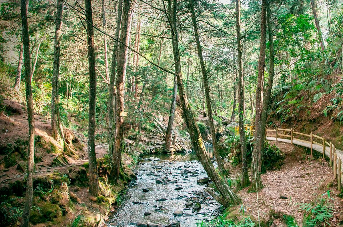 Expedición Mitológica en el Parque Arví