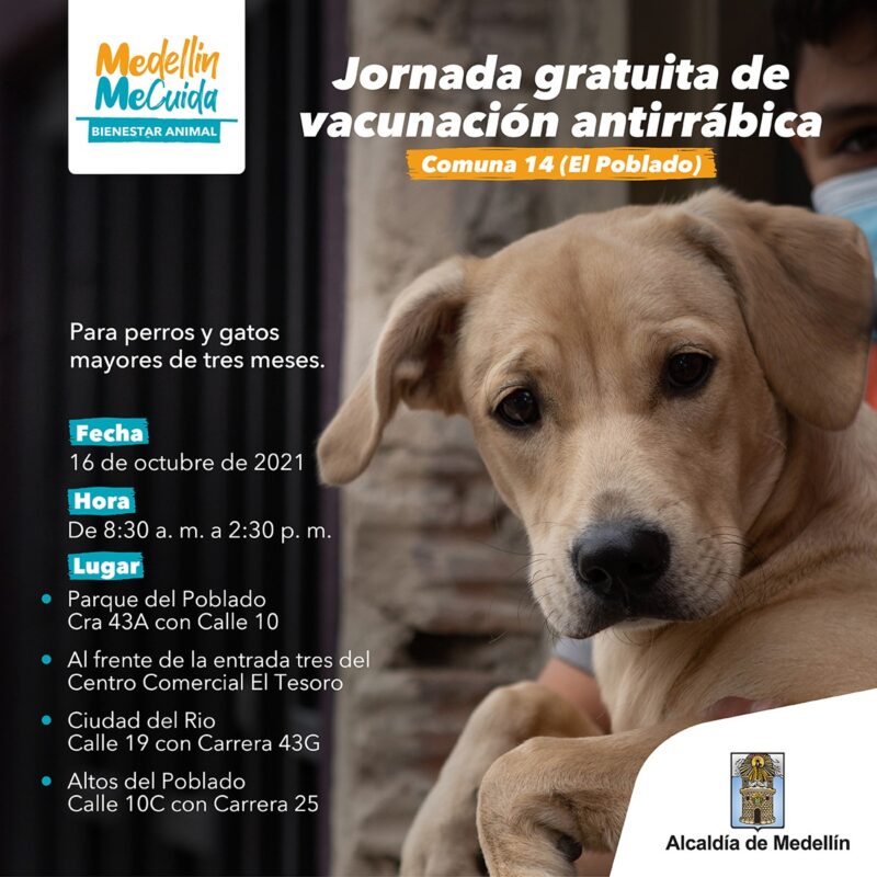 Jornada de vacunación antirrábica gratuita de perros y gatos en El Poblado, este sábado 16 de octubre 