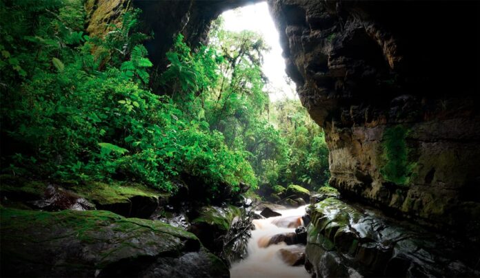 Parques Nacionales Naturales de Colombia ya están abiertos al público