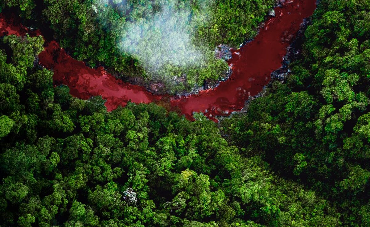 Planet On 2021, un festival de cine ambiental para entender más el planeta