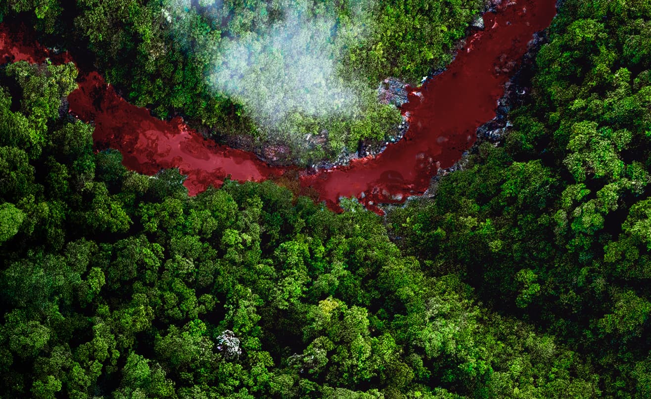 Planet On 2021, un festival de cine ambiental para entender más el planeta