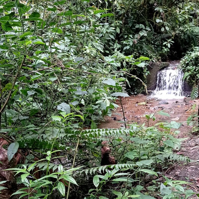 reserva natural de Sabaneta, La Romera
