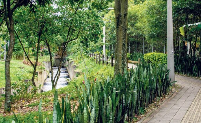 Parque Lineal La Presidenta: el corazón verde de El Poblado