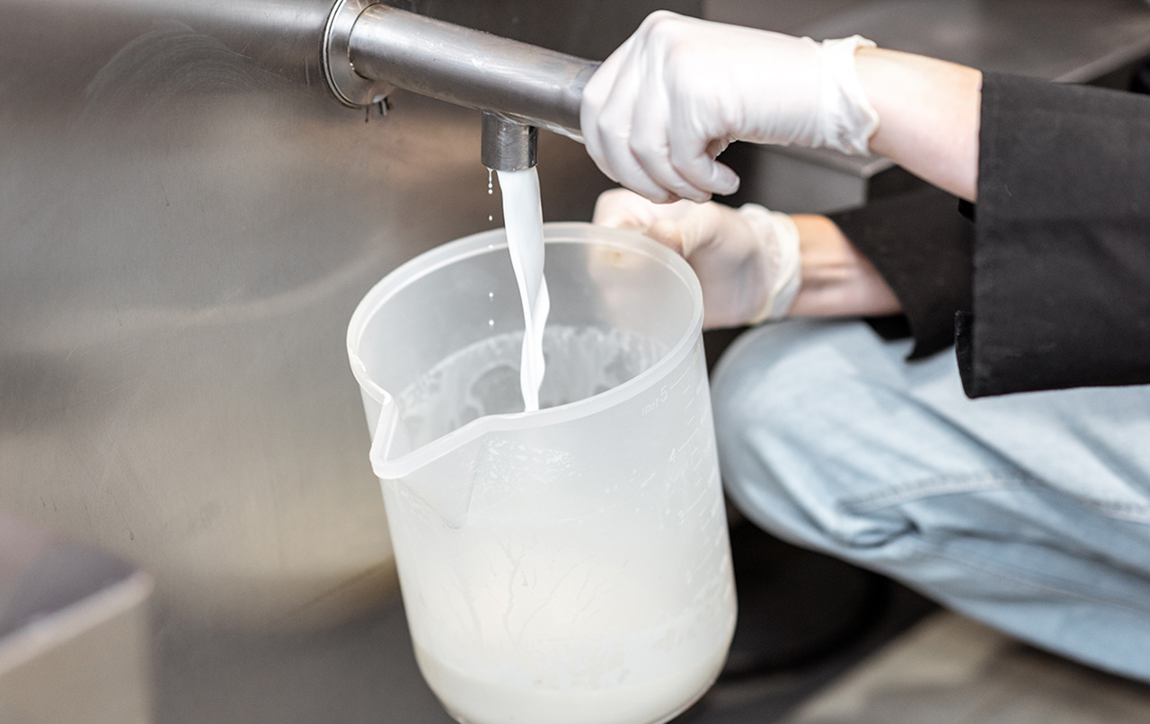Asoleche alerta por la caída de la producción de leche en Colombia