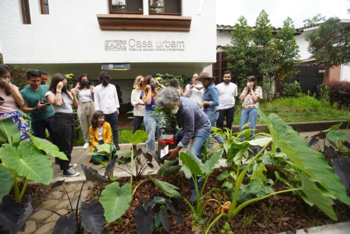 Una Calliandra Medellinensis llegó para embellecer la sede del Centro Urbam de EAFIT  