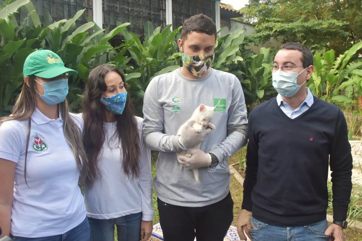 La felina albina vivirá permanente en el Parque de la Conservación