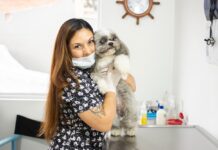 Consejos para un cuidado responsable de las mascotas