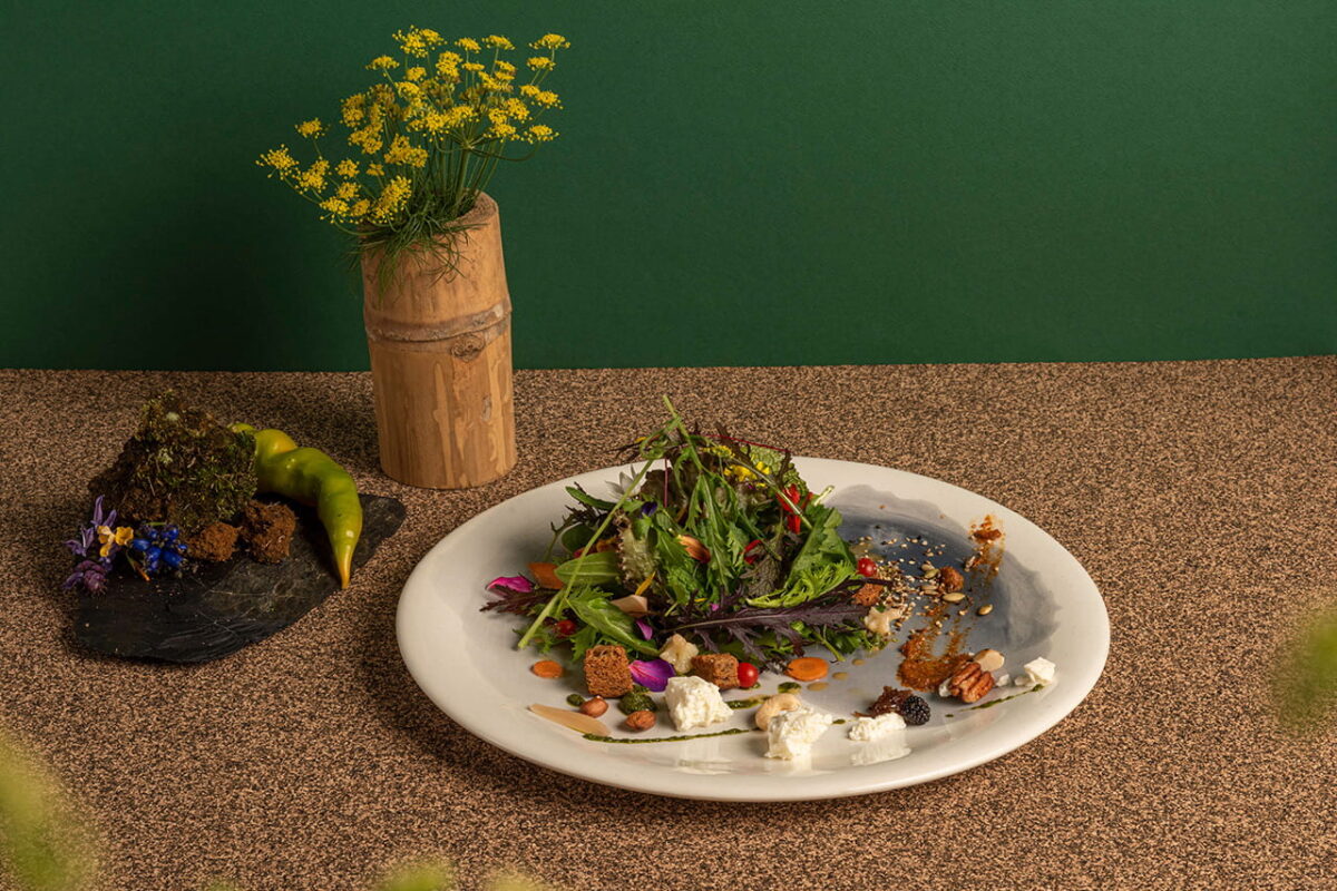 Ensalda de la huerta