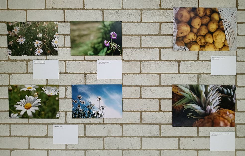 Exposición Proyecto Ciego, hacer mito de lo invisible