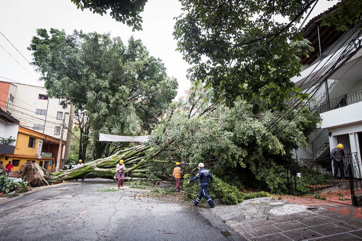 Recomendaciones para el inicio de la temporada de menos lluvia, según el Dagrd