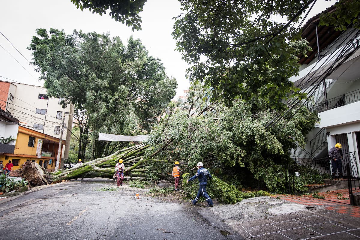 Recomendaciones para el inicio de la temporada de menos lluvia, según el Dagrd