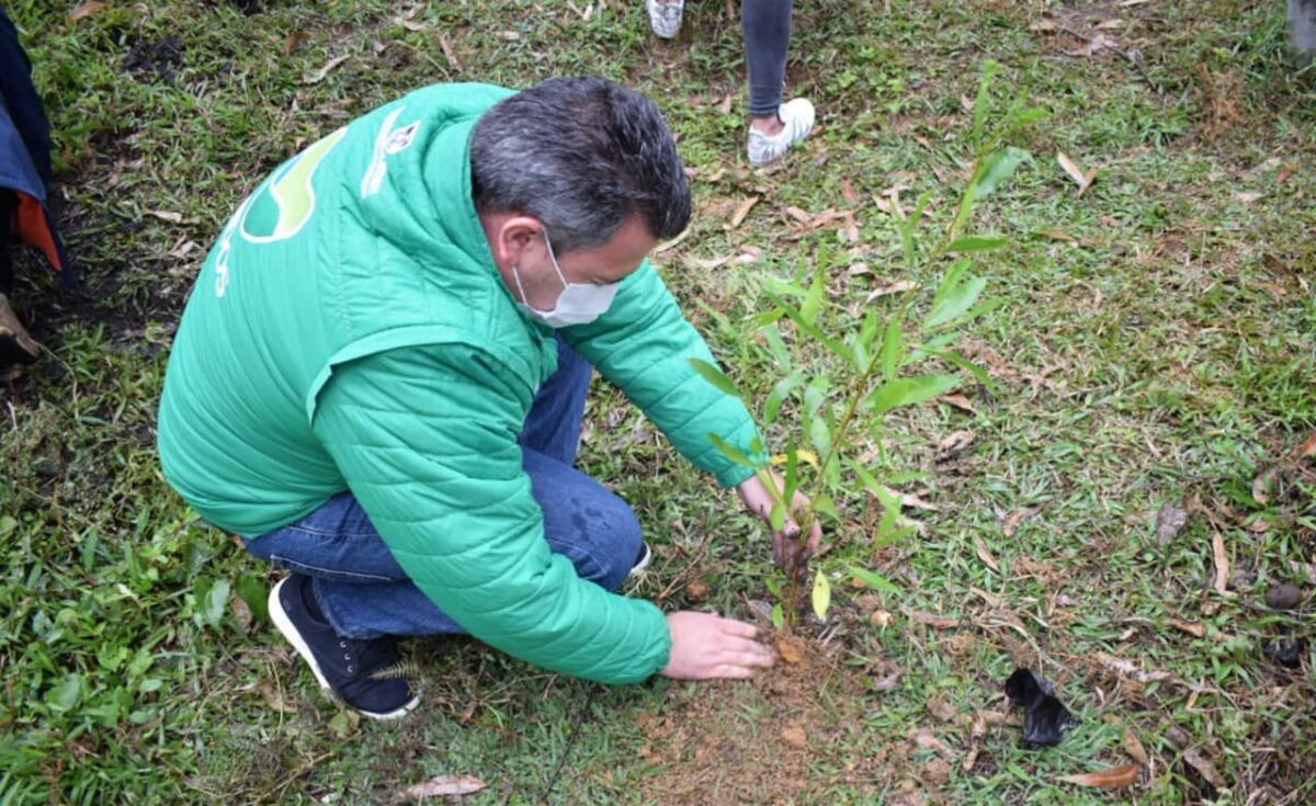 Bioexpo compensa su huella de carbono