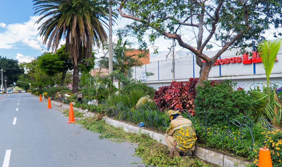 El Jardín Botánico retoma el mantenimiento de zonas verdes y jardines de Medellín