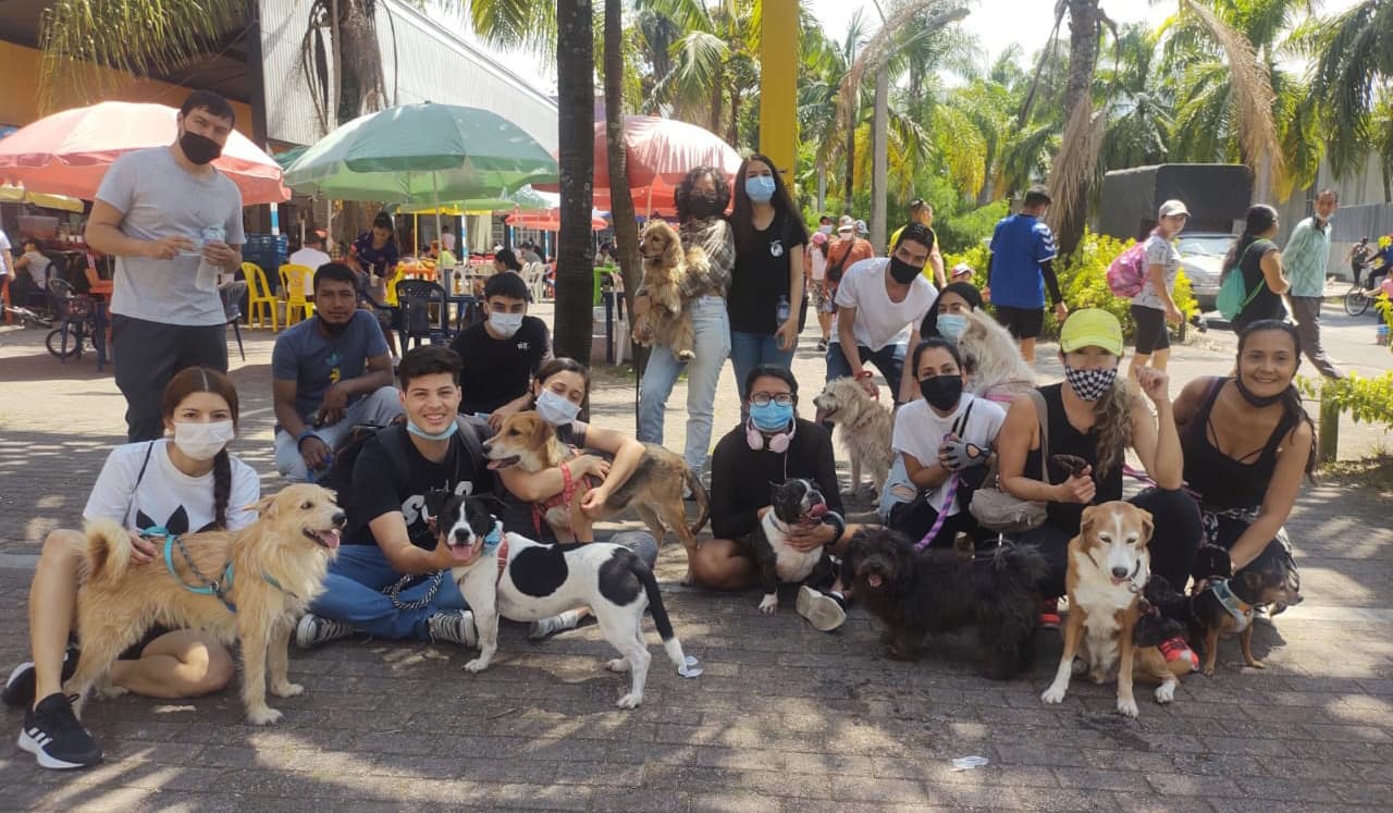 Fundación Orca, al Parque