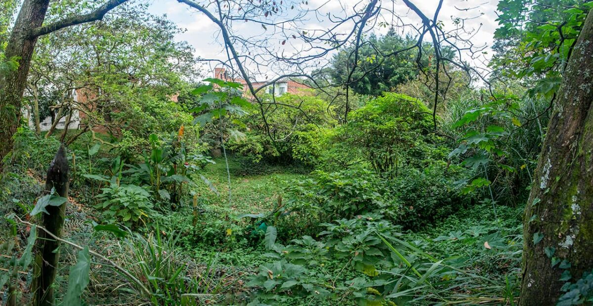 En el Día de los Humedales: ¿cómo cuidarlos, en Medellín?