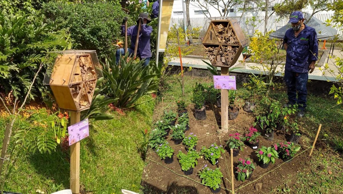 Hoteles para abejas en los municipios del Valle de Aburrá