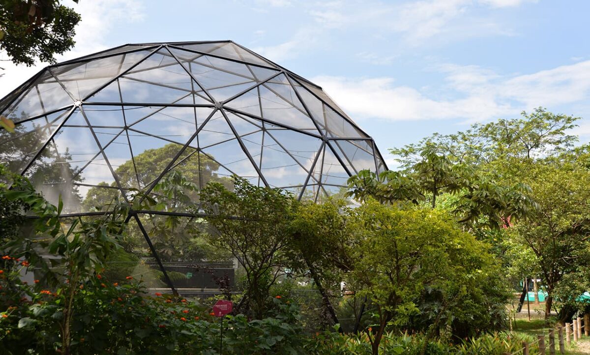 Jardín Botánico de Medellín hace homenaje en el Día de los Jardines Botánicos