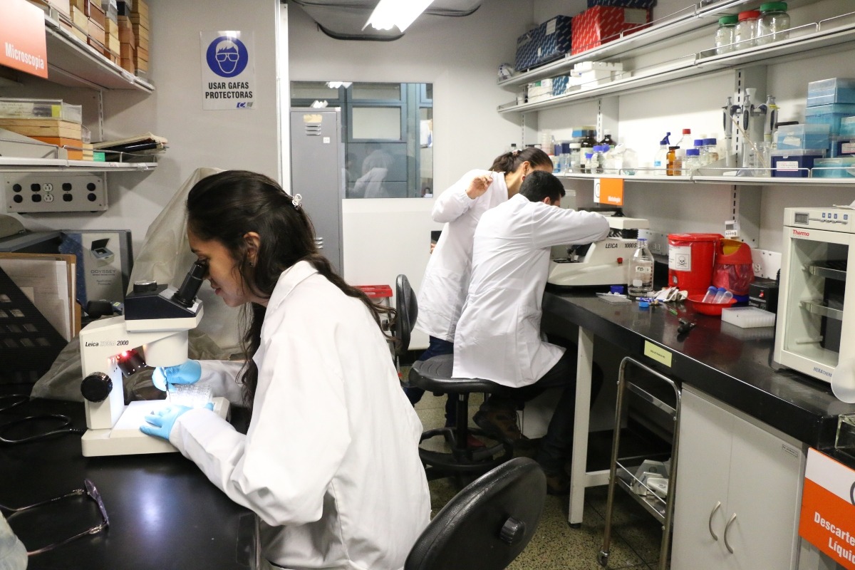 La UdeA realiza estudio clínico para la prevención del Alzheimer