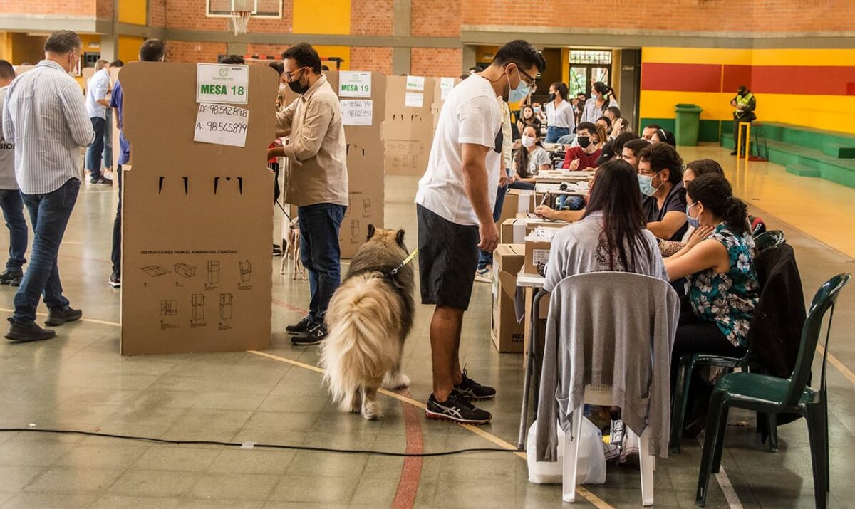 Conozca a los 15 antioqueños en el nuevo Senado de Colombia