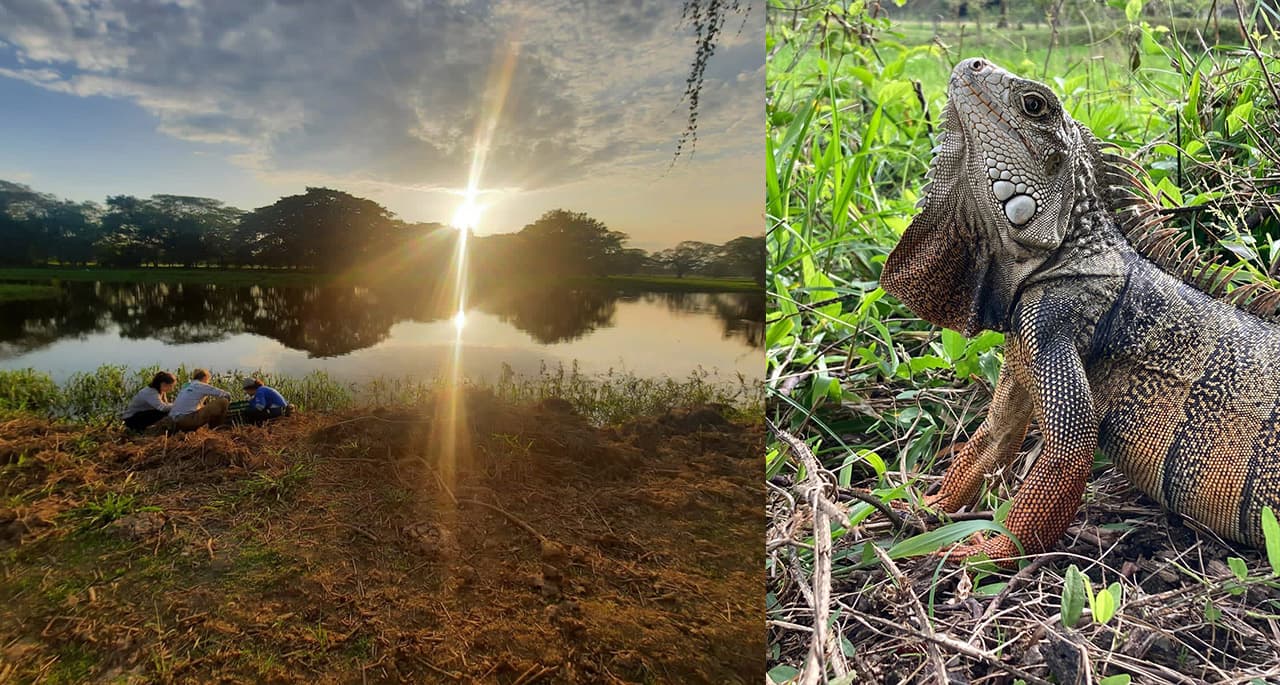Liberan fauna silvestre en el Magdalena Medio Antioquia