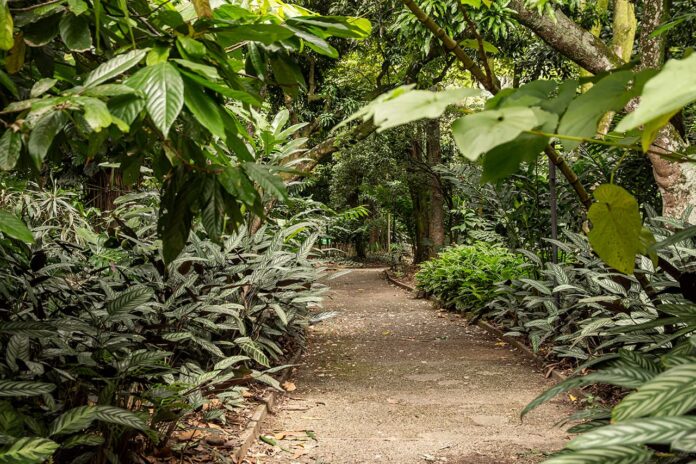 Un Reto Naturalista en Medellín, para descubrir y reconocer la biodiversidad que nos rodea