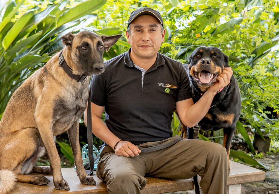 Experto en psicología de perros