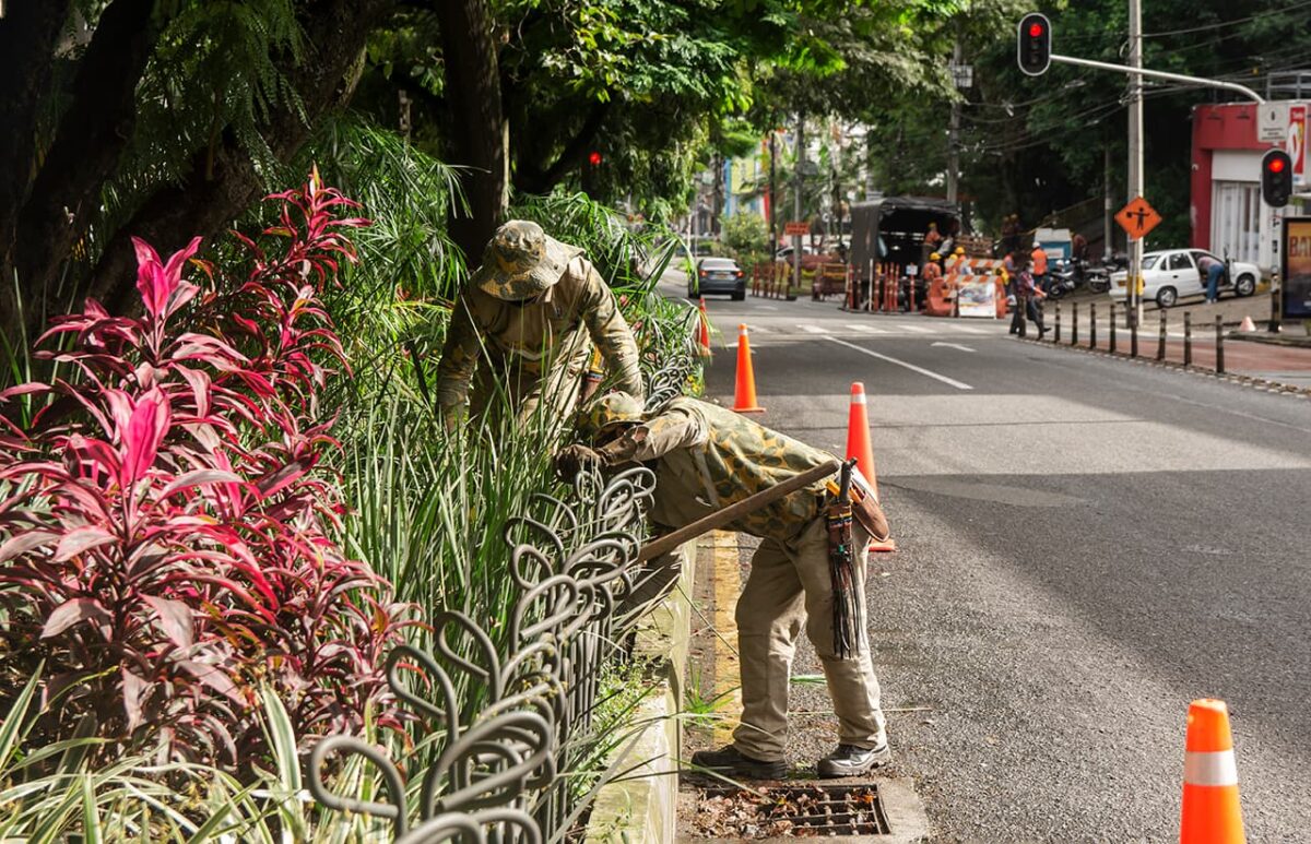Jardín Botánico de Medellín, medio siglo reverdeciendo ciudad
