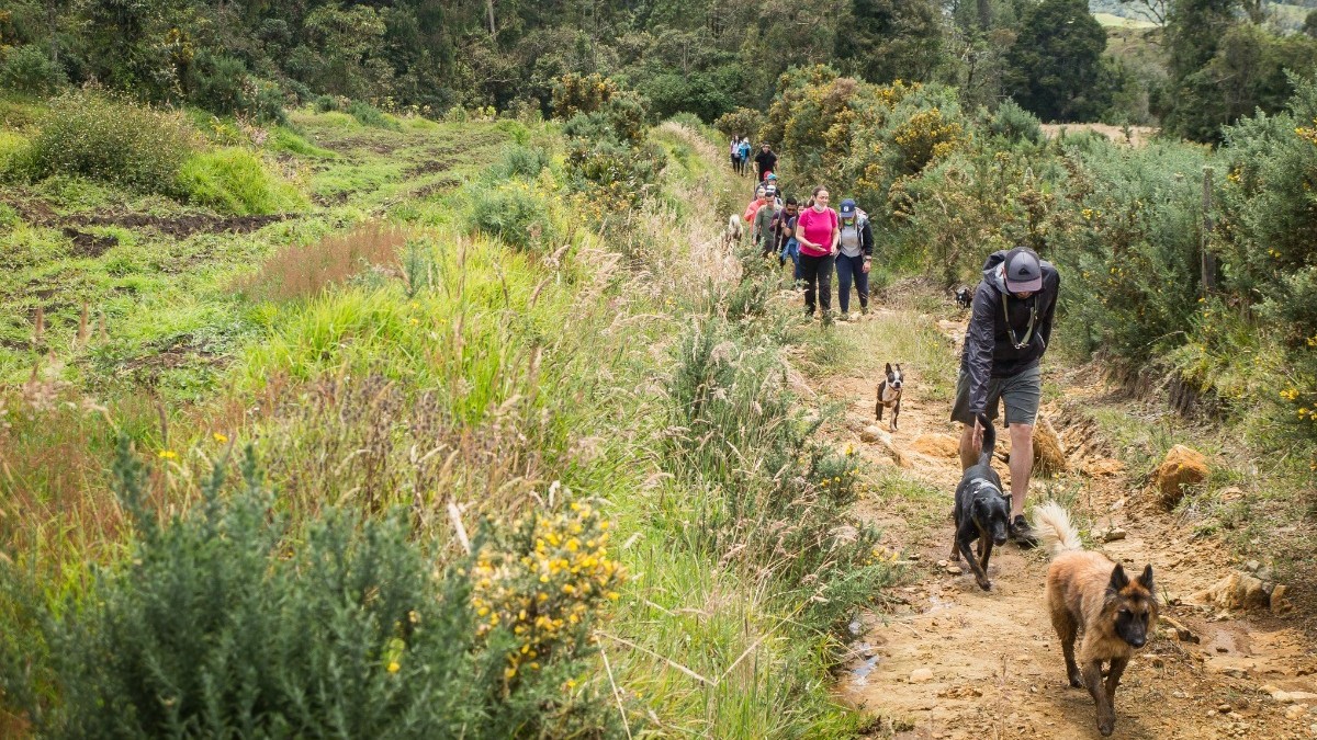 En época de lluvias, acate recomendaciones en la práctica de senderismo y actividades al aire libre