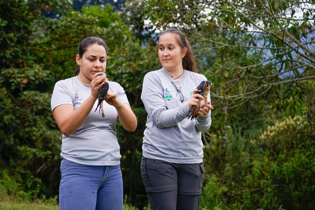 Envigado, la nueva casa para 19 animales de la fauna silvestre recuperados