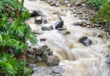 Intervención en quebradas para prevenir emergencias en temporada de lluvias en Medellín