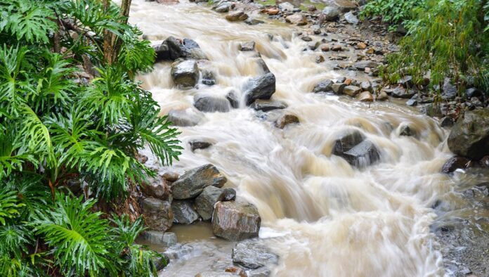 Intervención en quebradas para prevenir emergencias en temporada de lluvias en Medellín
