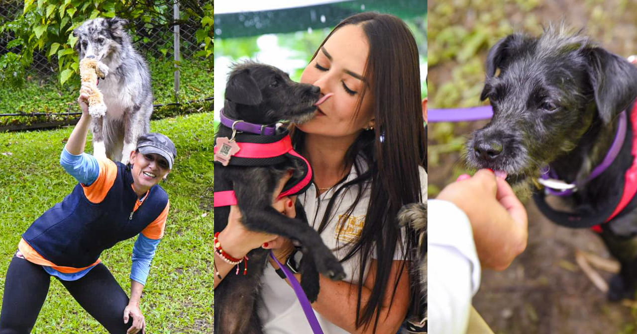 Mascotas en el El parque El Salado en Envigado, es ahora Pet Friendly