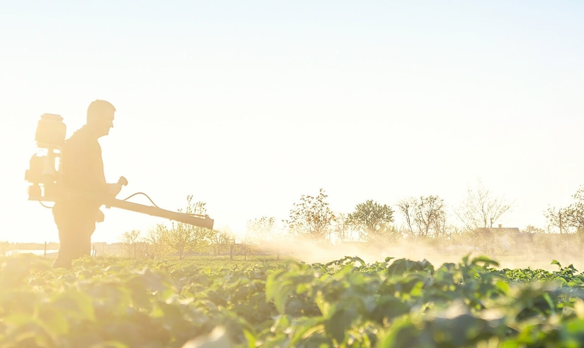 Negocios agrícolas en Antioquia para fortalecer la economía de los campesinos