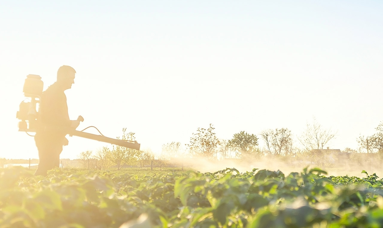 Negocios agrícolas en Antioquia para fortalecer la economía de los campesinos