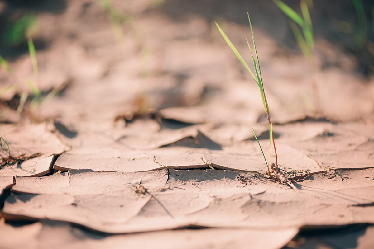 Un foro para entender la emergencia climática