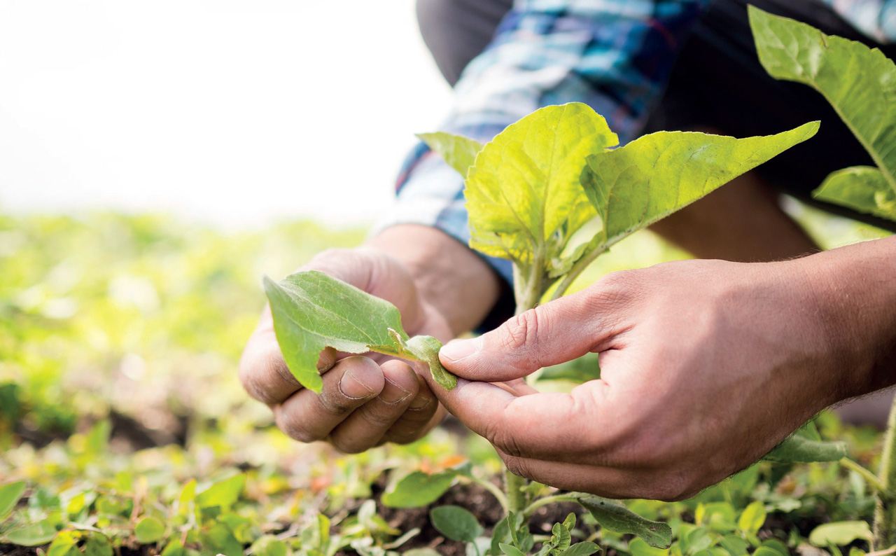 Cinco días con agenda ambiental