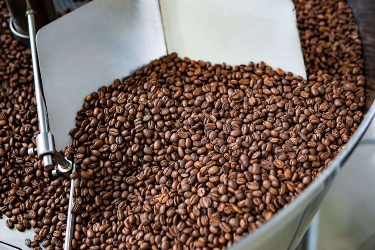 En Medellín hay 428 hectáreas sembradas de café