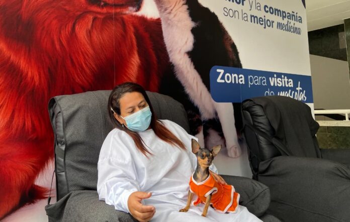 En el Marco Fidel Suárez, las mascotas visitan a los pacientes para ayudar en su recuperación