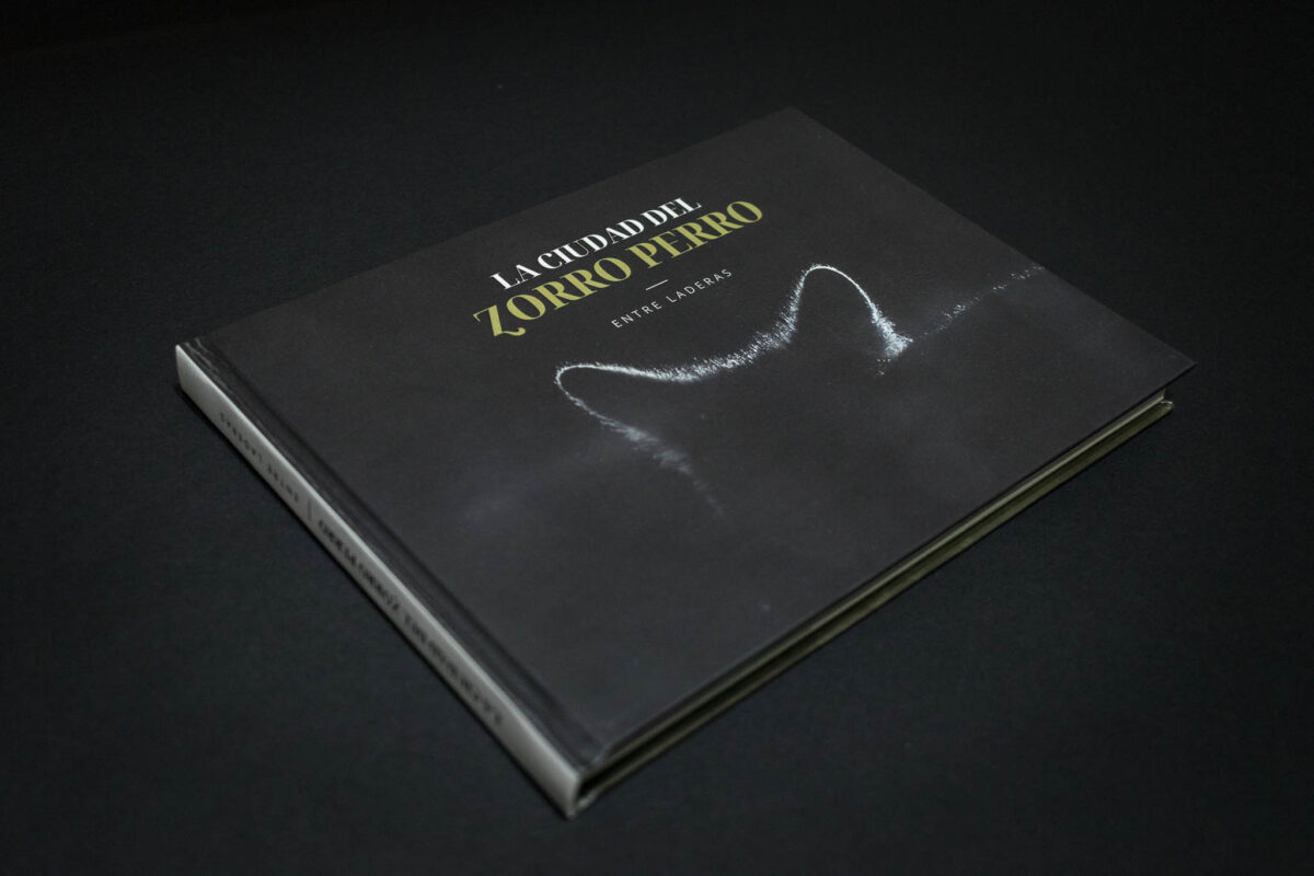 Un libro de Tayra Andina que busca apoyo: “La ciudad del zorro perro”