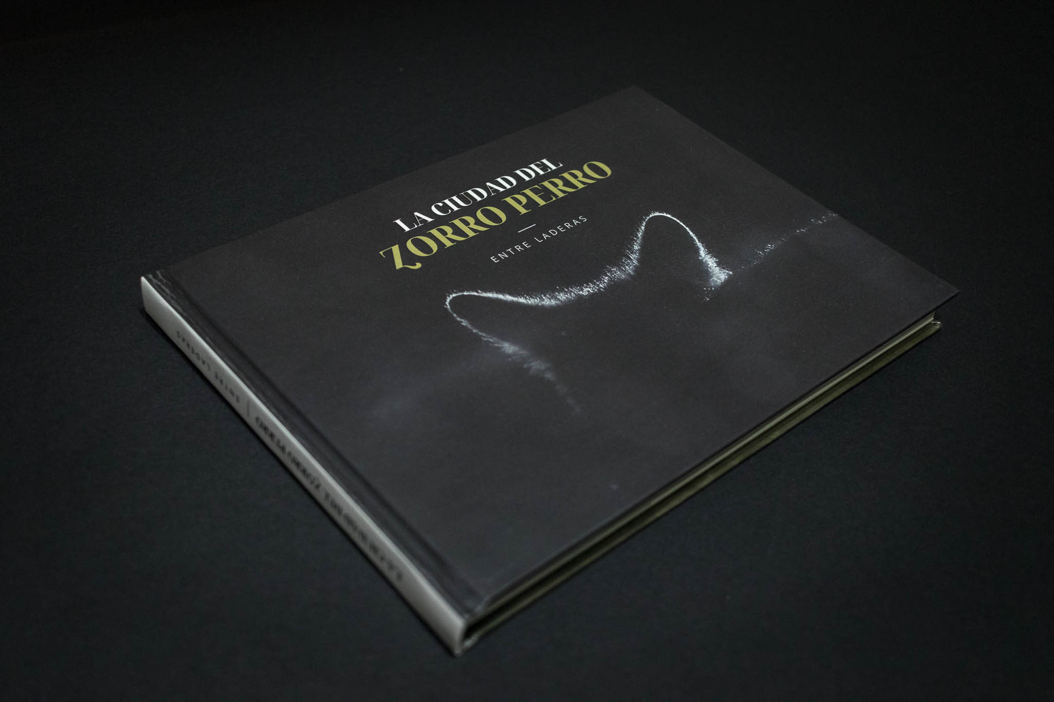 Un libro de Tayra Andina que busca apoyo: “La ciudad del zorro perro”