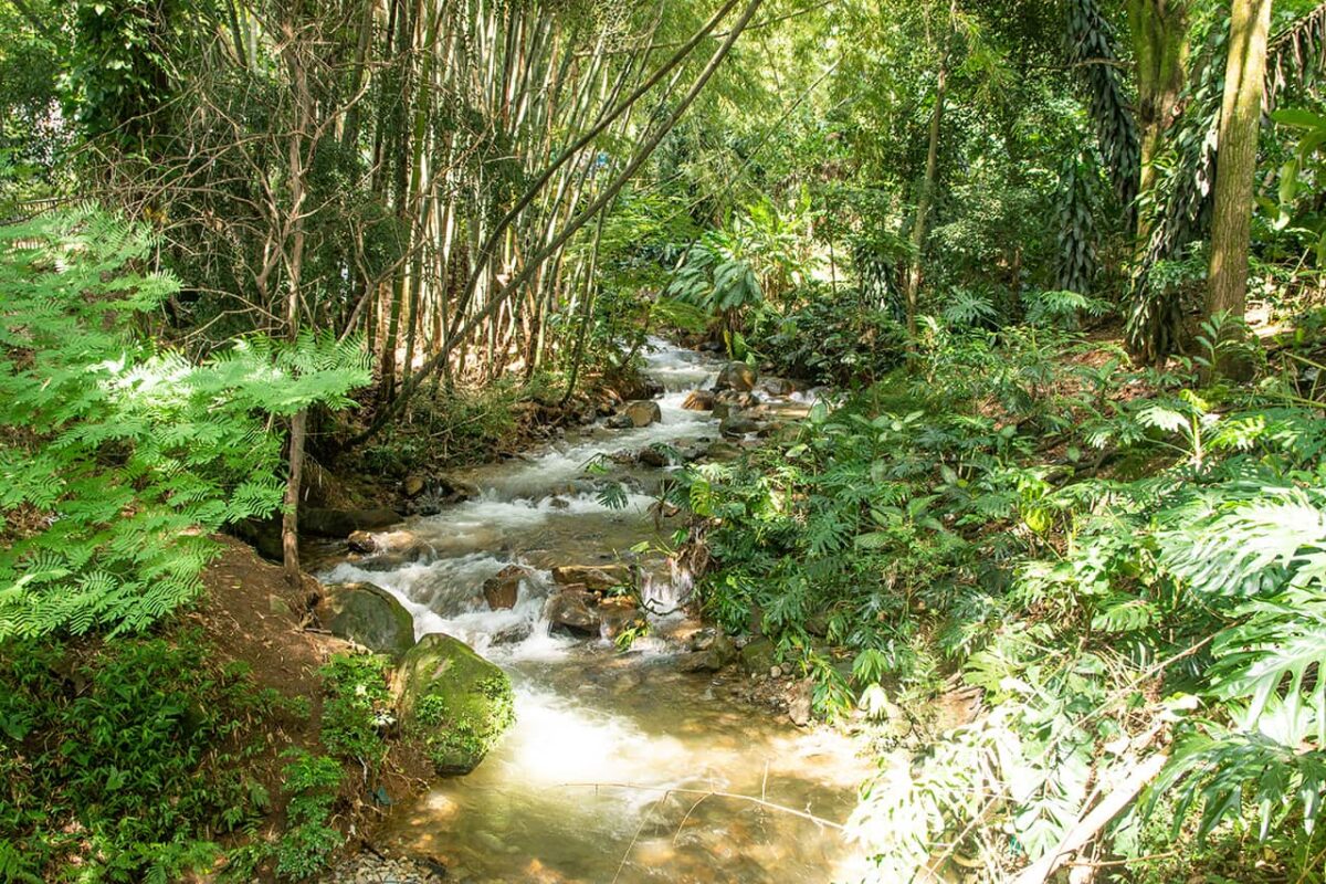 El Poblado ya tiene Plan de Acción Ambiental Local (PAAL)