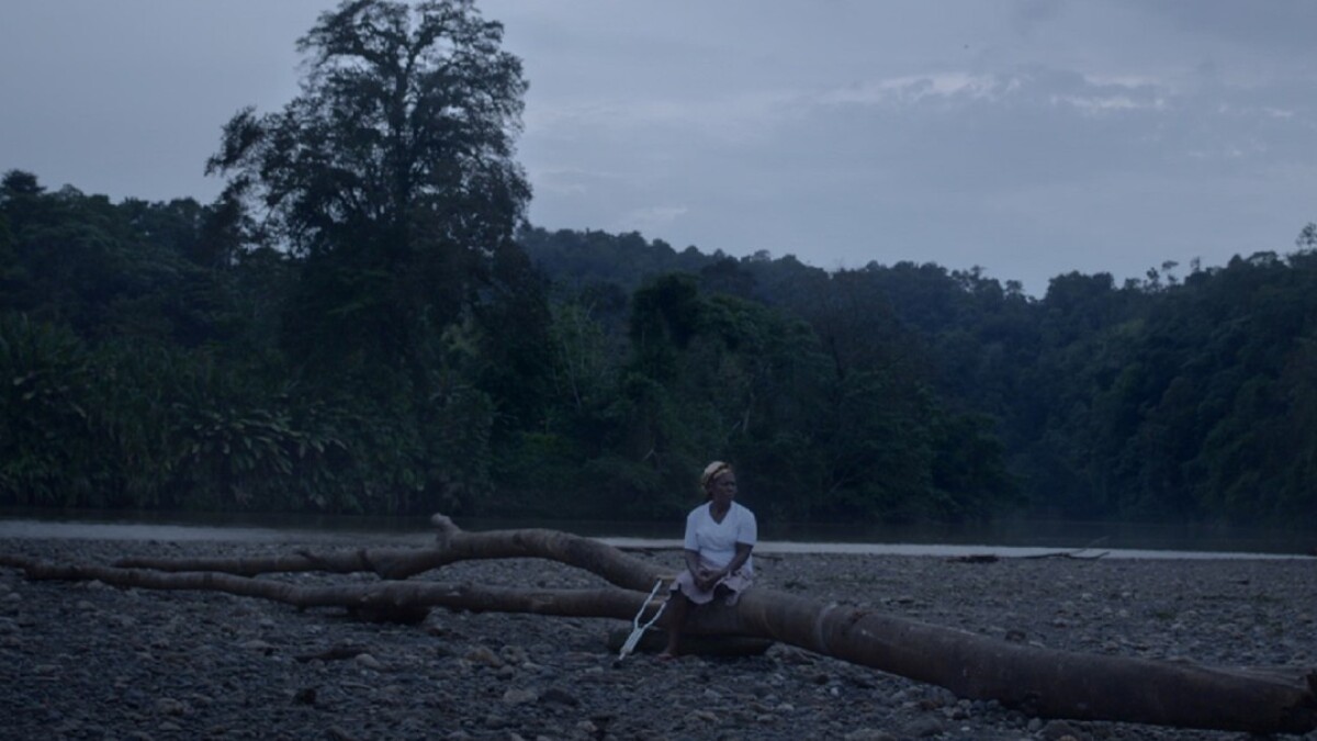 Pelicula Cantos que inundan el rio