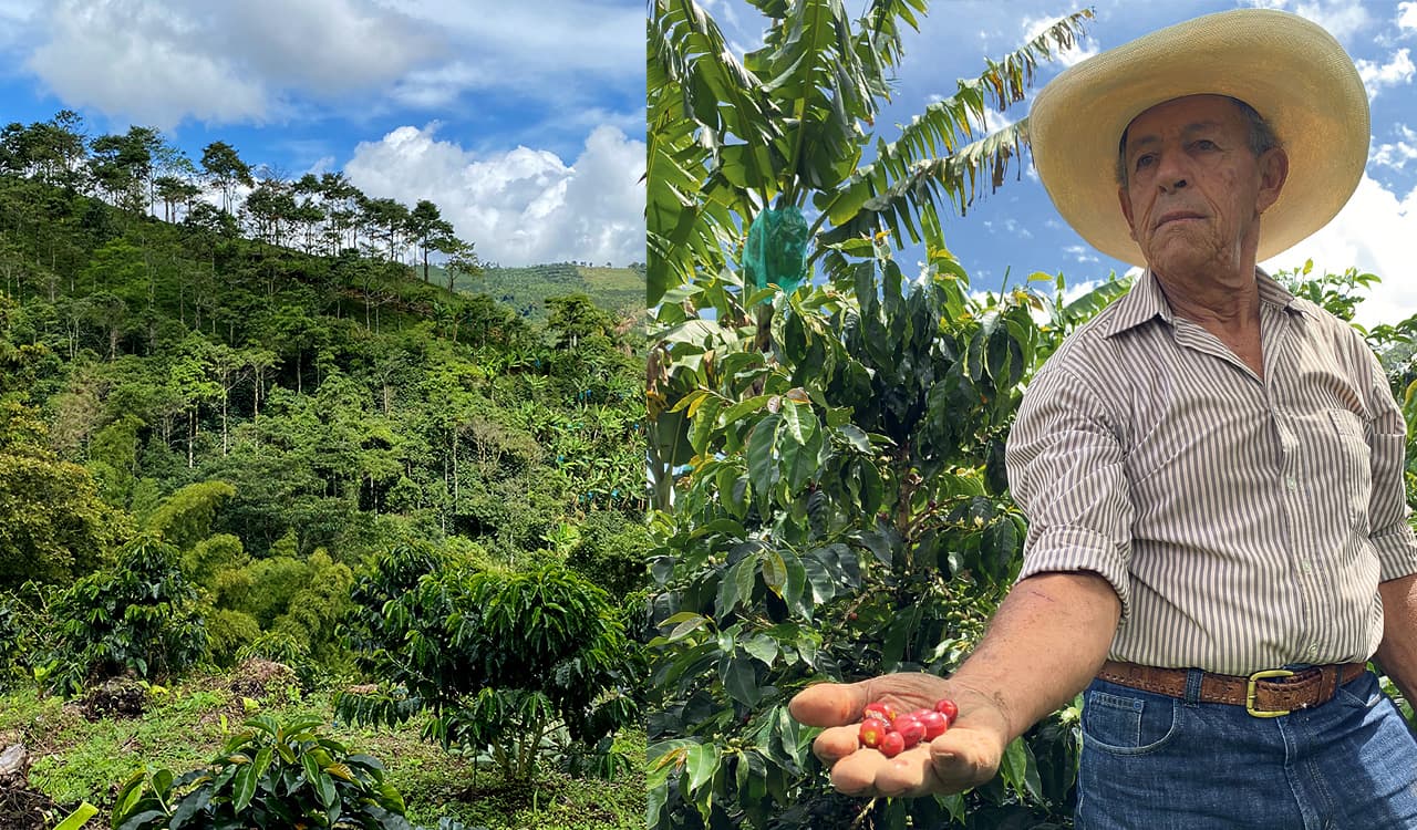 Antioquia viaja con su café