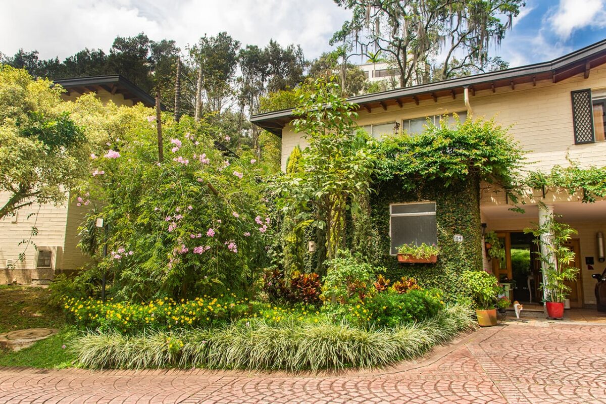 El jardín florecido de Nohra