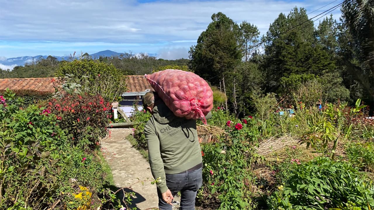 Un nuevo canal de venta tienen los productores locales que hacen parte de Mercados Campesinos