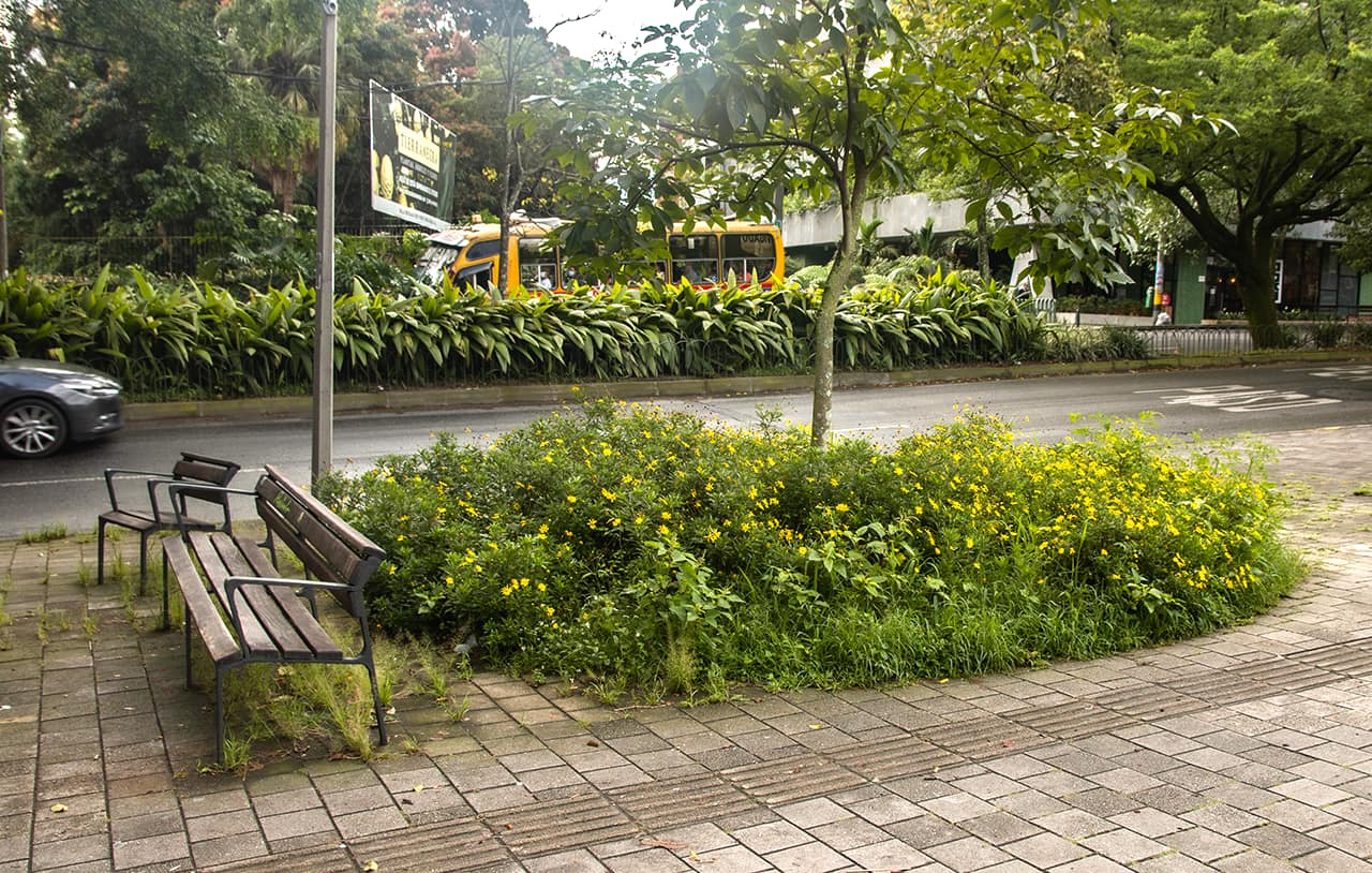 Metroparques informó que en El Poblado ha adelantado actividades de siembra y mantenimiento de árboles, siembra y mantenimiento de jardines, guadañado y rocería.